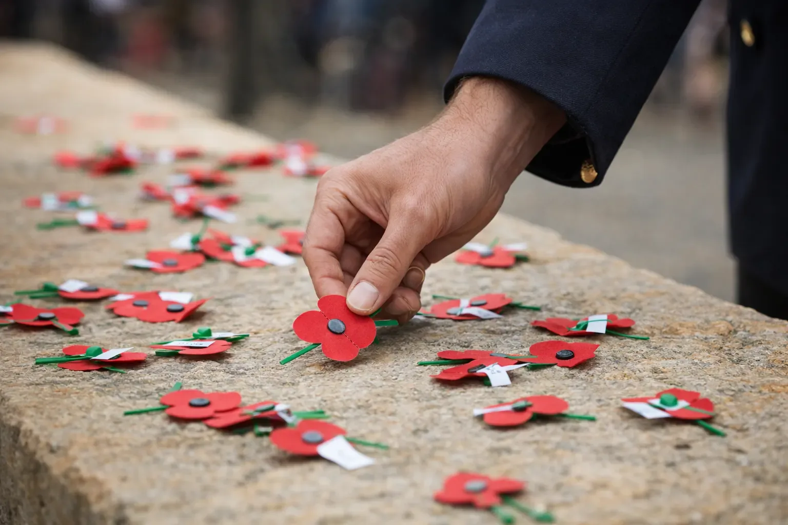 A hand placing a remembrance poppy